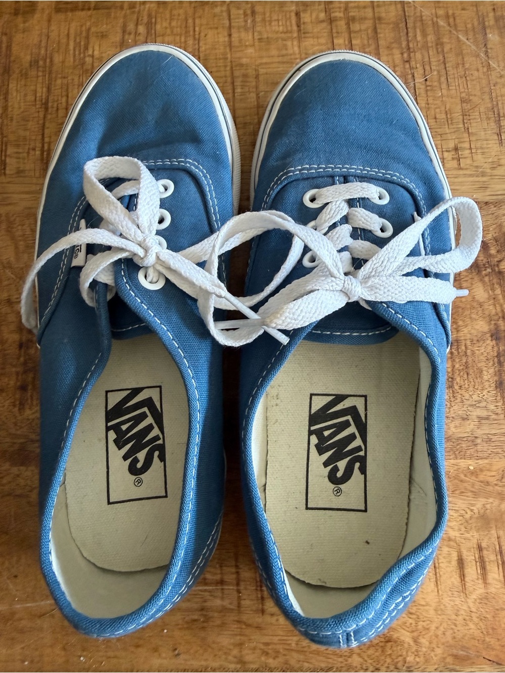 Vans Blue Canvas Low-Top Sneakers